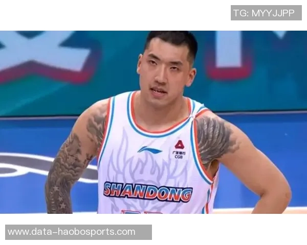 陶汉林的篮球之路：从青涩少年到职业球员的成长历程与心路历程